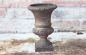 Preview: Jardiniere-Pokal-Medici-02.